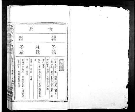 [孙]孙氏合修族谱_不分卷 (江西) 孙氏合修家谱_五.pdf