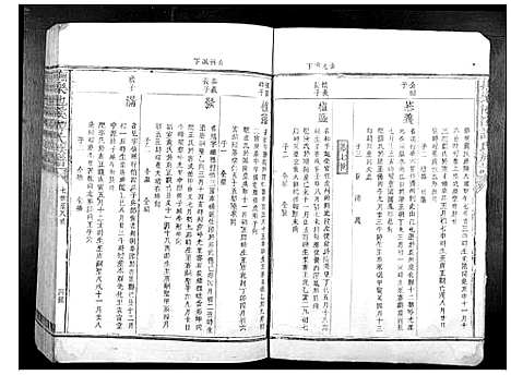 [谭]抚乐池溪谭氏族谱 (江西) 抚乐池溪谭氏家谱_二.pdf