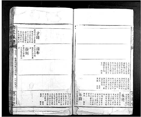 [唐]唐氏族谱 (江西) 唐氏家谱_九.pdf