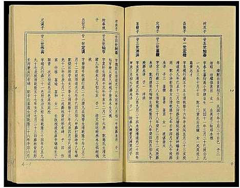 [王]万载王氏宗谱_7卷 (江西) 万载王氏家谱_四.pdf