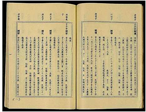 [王]万载王氏宗谱_7卷 (江西) 万载王氏家谱_五.pdf