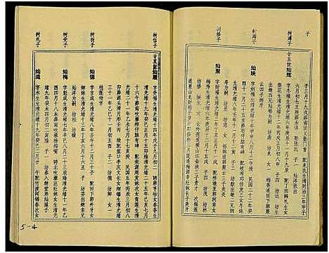 [王]万载王氏宗谱_7卷 (江西) 万载王氏家谱_五.pdf