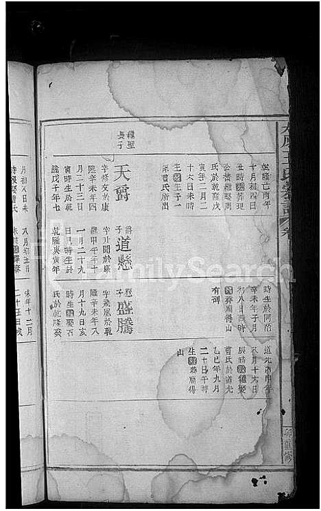 [王]太原王氏宗谱_10卷首1卷 (江西) 太原王氏家谱_三.pdf