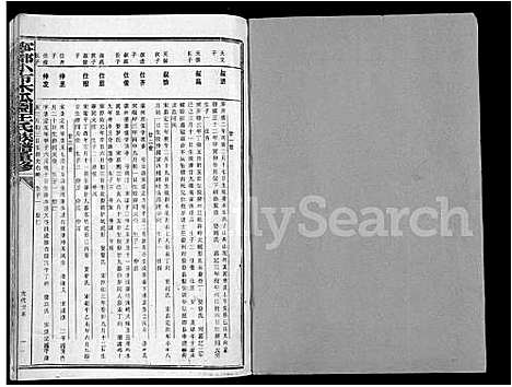 [王]宁都小布木瓜园王氏重修族谱_不分卷-宁都小布木瓜园王氏族谱重修_Ning Du Xiao Bu Mu Gua Yuan Wang Shi (江西) 宁都小布木瓜园王氏重修家谱_二.pdf