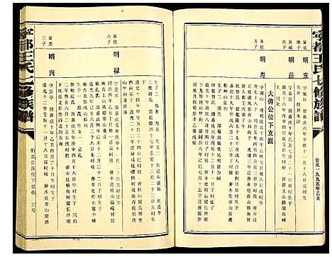 [王]宁都王氏七修族谱 (江西) 宁都王氏七修家谱_九.pdf