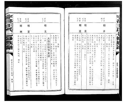 [王]宁都王氏七修族谱_9卷 (江西) 宁都王氏七修家谱_八.pdf