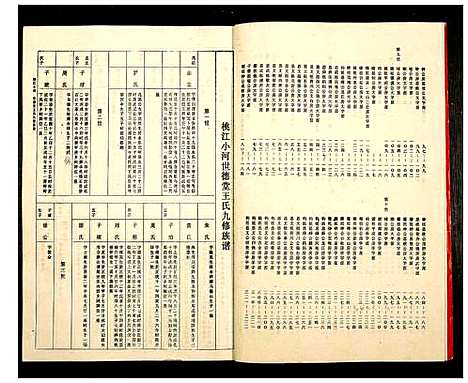 [王]桃江小河乡世德堂王氏九修族谱 (江西) 桃江小河乡世德堂王氏九修家谱_二.pdf