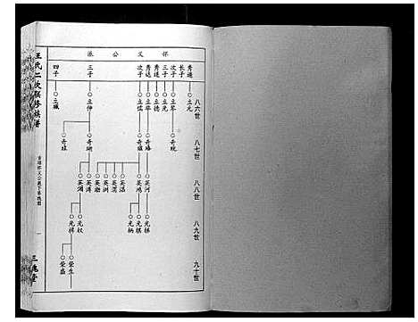 [王]王氏二次联修族谱 (江西) 王氏二次联修家谱_四.pdf