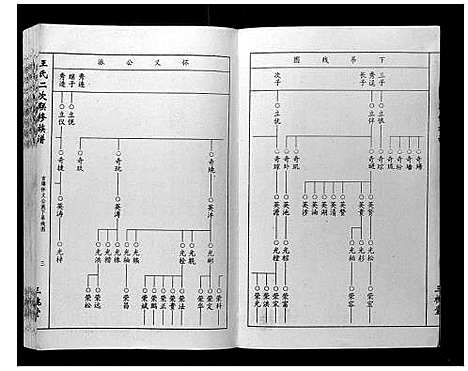 [王]王氏二次联修族谱 (江西) 王氏二次联修家谱_四.pdf