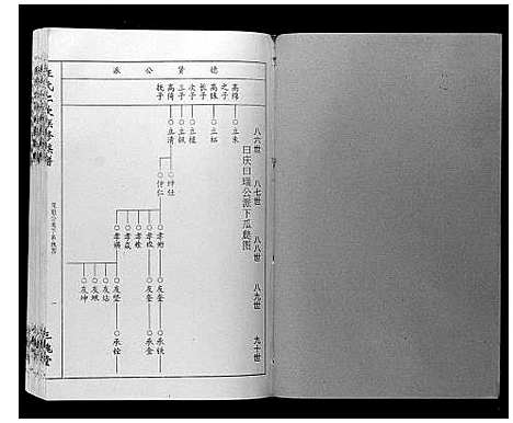 [王]王氏二次联修族谱 (江西) 王氏二次联修家谱_五.pdf