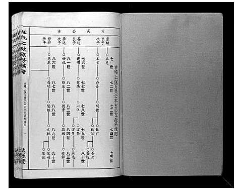 [王]王氏二次联修族谱 (江西) 王氏二次联修家谱_十.pdf