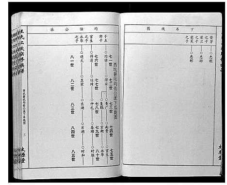 [王]王氏二次联修族谱 (江西) 王氏二次联修家谱_十.pdf