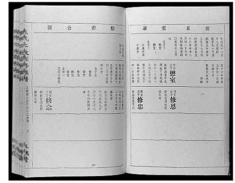 [王]王氏二次联修族谱 (江西) 王氏二次联修家谱_三十八.pdf