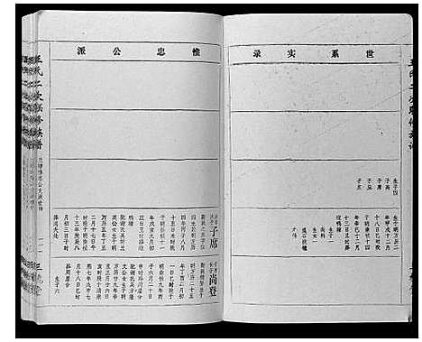 [王]王氏二次联修族谱 (江西) 王氏二次联修家谱_四十三.pdf