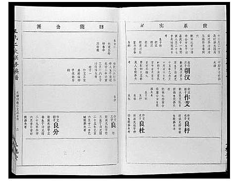 [王]王氏二次联修族谱 (江西) 王氏二次联修家谱_四十九.pdf