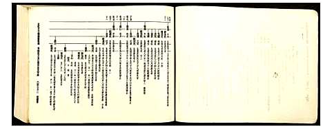 [王]王氏十三修南富族谱 (江西) 王氏十三修南富家谱_四.pdf