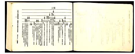 [王]王氏十三修南富族谱 (江西) 王氏十三修南富家谱_四.pdf