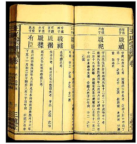 [王]王氏宗谱 (江西) 王氏家谱_三.pdf