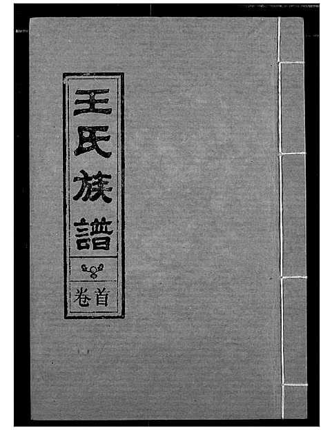 [王]王氏族谱 (江西) 王氏家谱_一.pdf