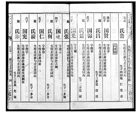 [王]王氏族谱 (江西) 王氏家谱_三.pdf