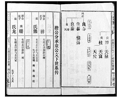 [王]王氏族谱 (江西) 王氏家谱_九.pdf