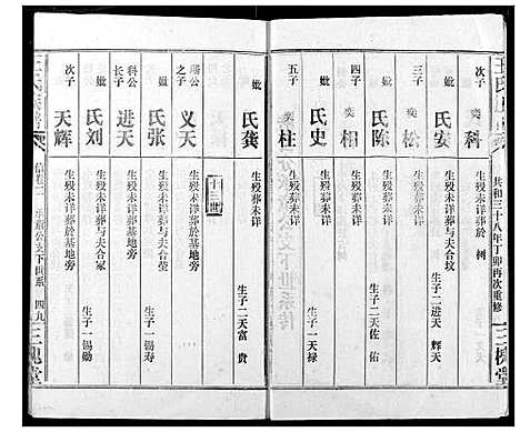 [王]王氏族谱 (江西) 王氏家谱_九.pdf