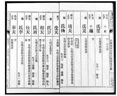 [王]王氏族谱 (江西) 王氏家谱_十一.pdf