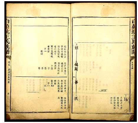 [王]白茆坑王氏族谱 (江西) 白茆坑王氏家谱_三.pdf