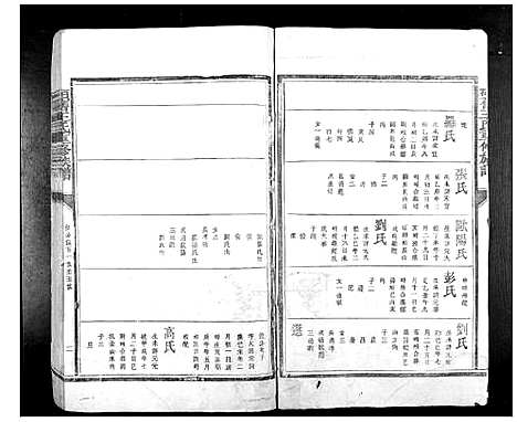 [王]硕旧王氏重修族谱_不分卷 (江西) 硕旧王氏重修家谱_二.pdf