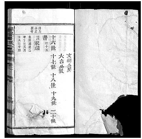 [王]华峰王氏宗谱_4卷 (江西) 华峰王氏家谱_三.pdf