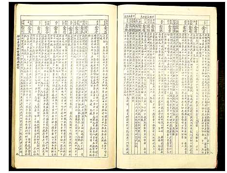 [王]雩邑车溪王氏六修族谱 (江西) 雩邑车溪王氏六修家谱_六.pdf