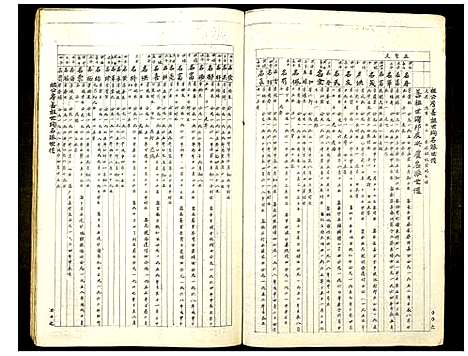 [王]雩邑车溪王氏六修族谱 (江西) 雩邑车溪王氏六修家谱_十.pdf