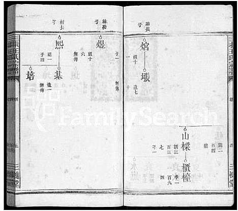 [王]三求王氏宗谱_不分卷 (江西) 三求王氏家谱_二.pdf