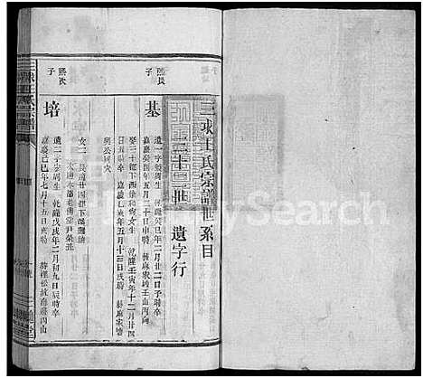 [王]三求王氏宗谱_不分卷 (江西) 三求王氏家谱_七.pdf