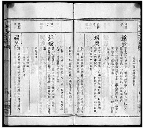 [王]三求王氏宗谱_不分卷 (江西) 三求王氏家谱_八.pdf