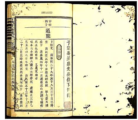 [魏]石城唐台魏氏十三修谱 (江西) 石城唐台魏氏十三修谱_五.pdf