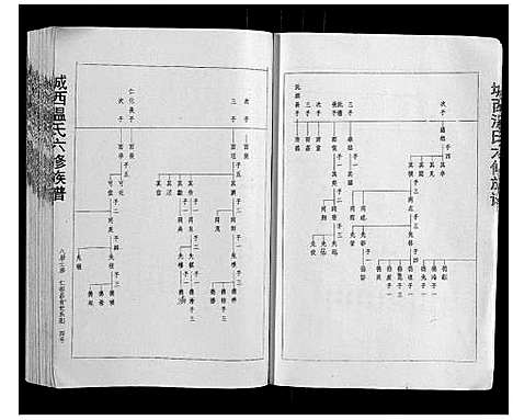 [温]城西温氏六修族谱_不分卷 (江西) 城西温氏六修家谱_二.pdf