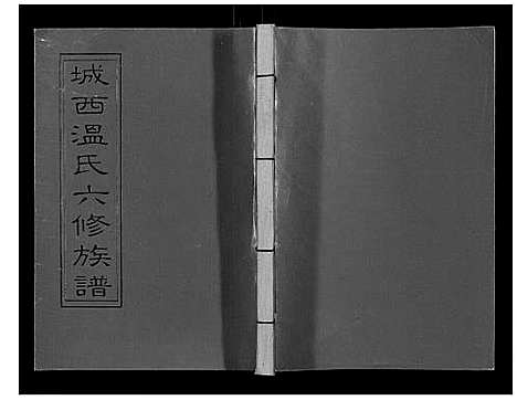 [温]城西温氏六修族谱_不分卷 (江西) 城西温氏六修家谱_三.pdf