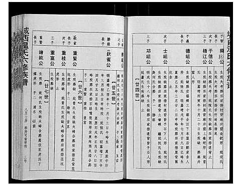 [温]城西温氏六修族谱_不分卷 (江西) 城西温氏六修家谱_三.pdf