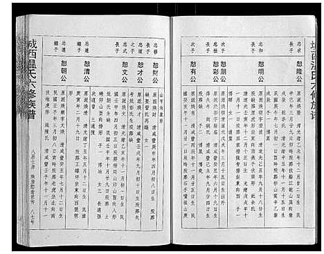 [温]城西温氏六修族谱_不分卷 (江西) 城西温氏六修家谱_四.pdf