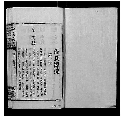 [温]温氏族谱 (江西) 温氏家谱_二.pdf