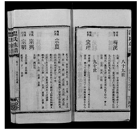 [温]温氏族谱 (江西) 温氏家谱_八.pdf