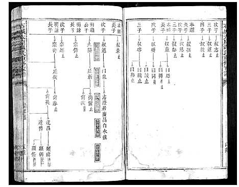 [温]石城太原温氏重修族谱 (江西) 石城太原温氏重修家谱_二.pdf