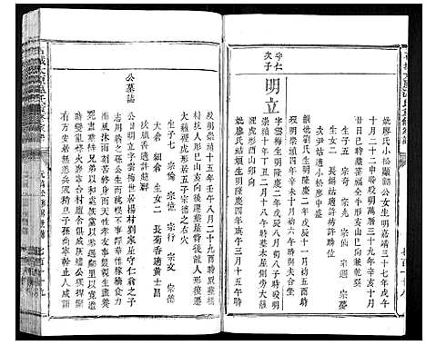 [温]石城太原温氏重修族谱 (江西) 石城太原温氏重修家谱_八.pdf