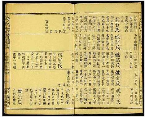 [吴]吴氏宗谱_存55卷及卷首 (江西) 吴氏家谱_A066.pdf