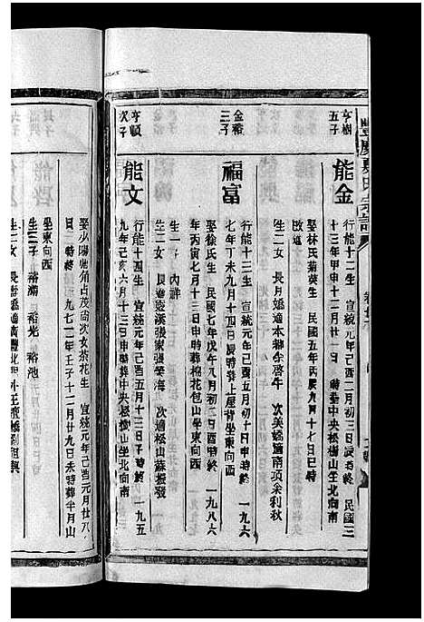 [夏]丰庆夏氏宗谱_8卷-Feng Qing Xia Shi_丰庆夏氏宗谱 (江西) 丰庆夏氏家谱_十.pdf