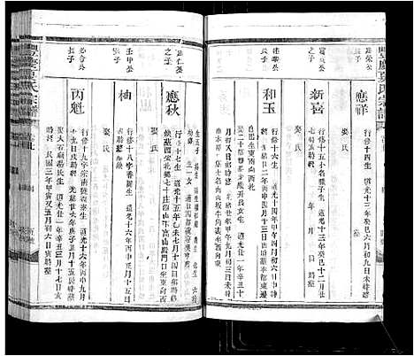 [夏]丰庆夏氏宗谱_8卷-Feng Qing Xia Shi_丰庆夏氏宗谱 (江西) 丰庆夏氏家谱_七.pdf