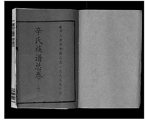 [辛]万载辛氏族谱_按房分卷_总卷2册_长房谱44册_次房谱1册_幼房18册 (江西) 万载辛氏家谱_二.pdf