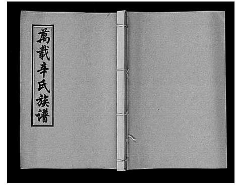 [辛]万载辛氏族谱_按房分卷_总卷2册_长房谱44册_次房谱1册_幼房18册 (江西) 万载辛氏家谱_六.pdf