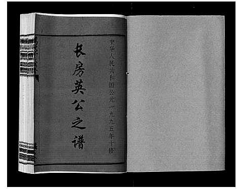 [辛]万载辛氏族谱_按房分卷_总卷2册_长房谱44册_次房谱1册_幼房18册 (江西) 万载辛氏家谱_六.pdf